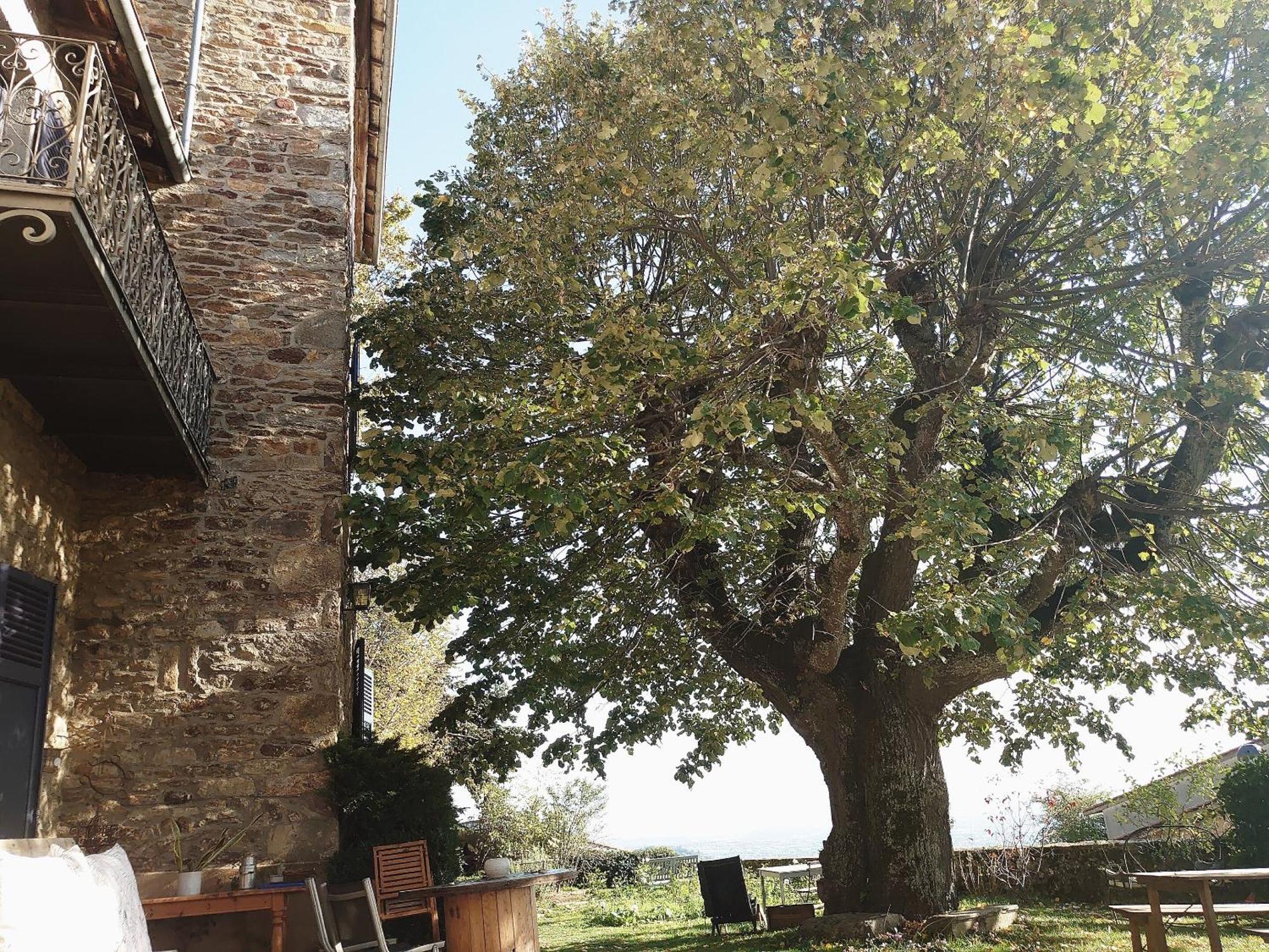 Chateau De Riverie Chambres Et Table D'Hotes Ngoại thất bức ảnh